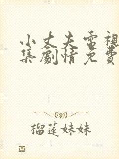 小丈夫电视剧全集剧情免费