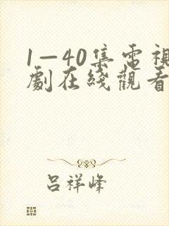 1—40集电视剧在线观看