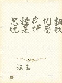 只怪我们相遇太晚是什么歌