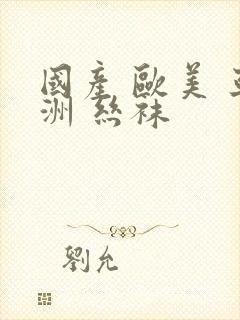 国产 欧美 亚洲 丝袜