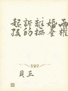 起诉离婚两个小孩的抚养权怎么判