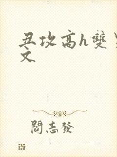 丑攻高h双男主文