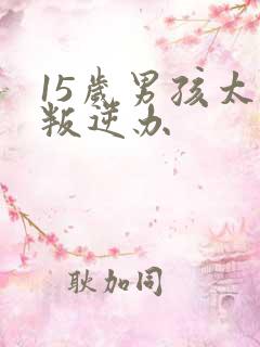 15岁男孩太的叛逆办