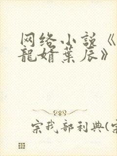 网络小说《上门龙婿叶辰》