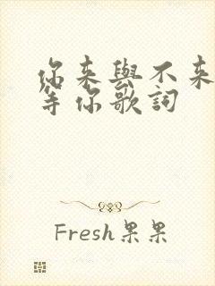 你来与不来我都等你歌词