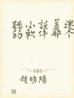 听小说着迷免费的软件哪个最好