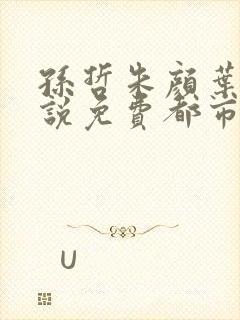孙哲朱颜叶巧小说免费都市之医武风流
