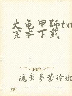 大龟甲师txt完本下载