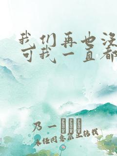 我们再也没见过可我一直都记得是什么歌