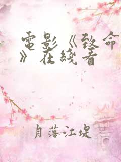 电影《致命复仇》在线看