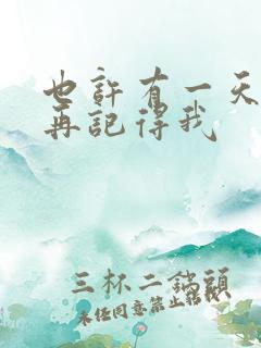 也许有一天你不再记得我