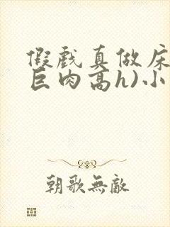 假戏真做床戏(巨肉高h)小说