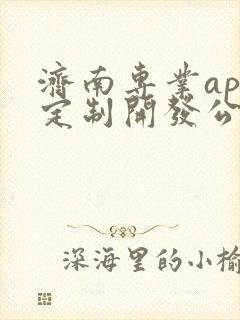 济南专业app定制开发公司