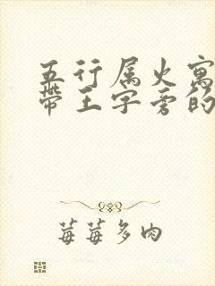 五行属火寓意好带王字旁的字