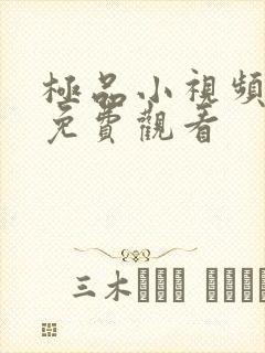 极品小视频在线免费观看