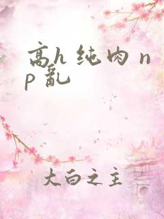 高h 纯肉 np 乱