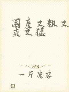 国产又粗又黄又爽又猛