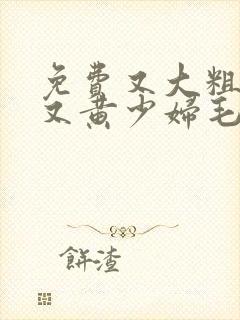 免费又大粗又爽又黄少妇毛片