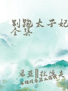 别跑太子妃短剧全集