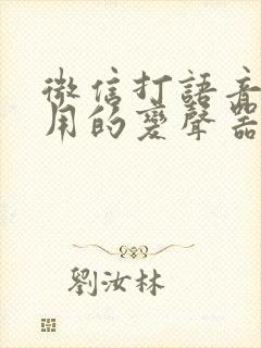 微信打语音可以用的变声器