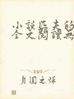 小说匹夫的逆袭全文阅读无弹窗