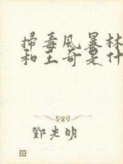 扫毒风暴林强峰和王奇是什么关系