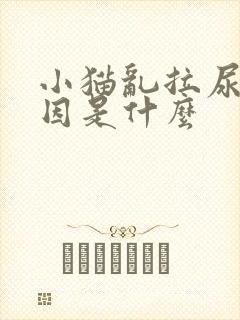 小猫乱拉尿的原因是什么