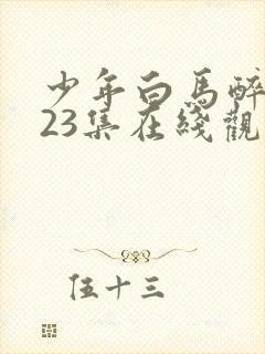 少年白马醉春风23集在线观看
