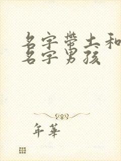 名字带土和金的名字男孩