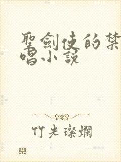 圣剑使的禁咒咏唱小说