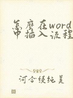 怎么在word中插入流程图