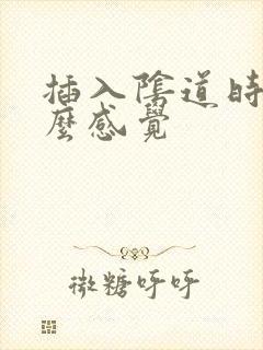 插入阴道时是什么感觉