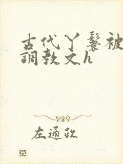 古代丫鬟被少爷调教文h