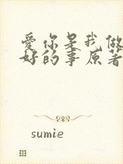 爱你是我做过最好的事原著小说