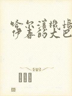 哈尔滨机场有到伊春的大巴吗