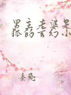 男主老婆是九尾狐的玄幻小说