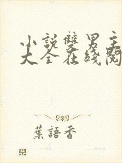 小说双男主免费大全在线阅读全文同人