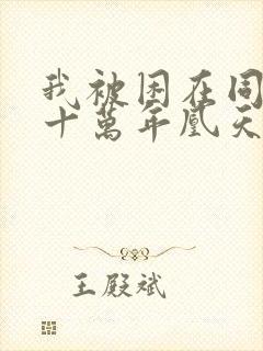 我被困在同一天十万年凰天在上