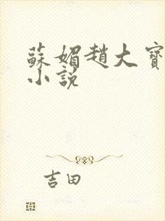 苏媚赵大宝赵勇小说