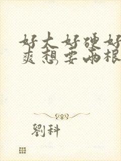 好大好硬好深好爽想要两根