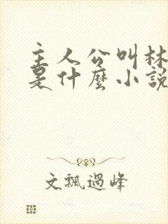 主人公叫林峰的是什么小说