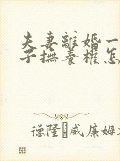 夫妻离婚一个孩子抚养权怎么判定