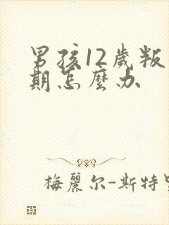 男孩12岁叛逆期怎么办