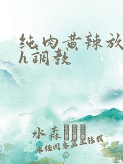 纯肉黄辣放荡高h调教