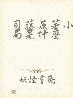 司藤原著小说结局是什么