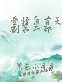 爱情自有天意短剧第二部