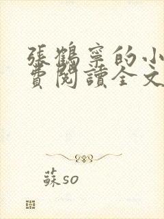 张鹤宁的小说免费阅读全文