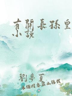 有关长孙皇后的小说