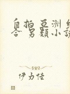 自拍 亚洲 综合 另类小说