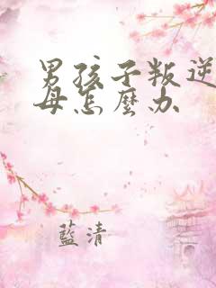 男孩子叛逆打父母怎么办